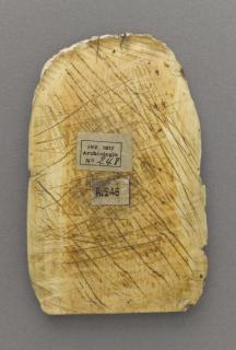Relief (fragment) (Back)