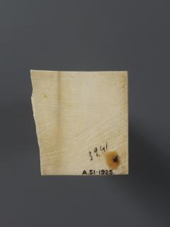 Panel (fragment of a casket; coffret) (Back)