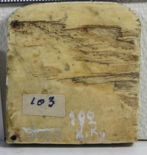 Panel (probably fragment of a casket), 1 register, 2 arches across (frise d'arcatures) (Back)