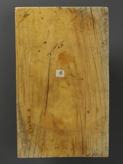 Diptych, 3 registers, bands of rosettes (plaquettes; décor de roses) (Wing, left, back)