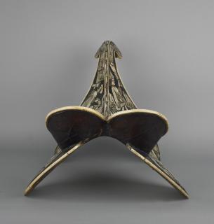 Saddle (selle) (Back)