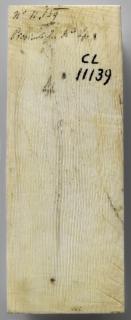 Panel (probably fragment of a box), 1 register, 1 ogee arch across (plaquette) (Back)