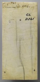 Panel (probably fragment of a box), 1 register, 1 ogee arch across (plaquette) (Back)