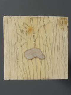 Wing, left (fragment of a diptych), 1 register, with quatrefoil (quatre-feuille; plaquette) (Back)