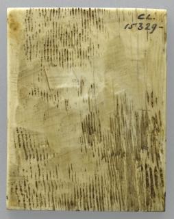 Wing, right (fragment of a diptych), 1 register, 1 arch across (plaquette) (Back)