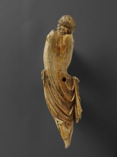 Corpus (Back)