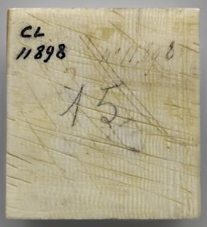 Panel, 1 register (possibly fragment of a casket) (Back)