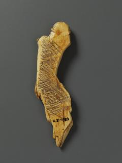 Corpus (Back)
