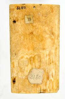 Wing, left (fragment of a diptych), 1 register, 3 arches across (plaquette) (Back)