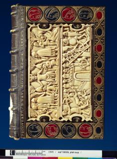 Fragments of a comb (peigne double); reused as part of the binding of a book (Front)