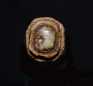 Staff (bâton de commandement); known as the 'staff of Niccolò Trinci' (Bottom)