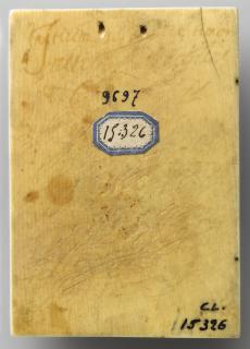 Wing, right (Back)