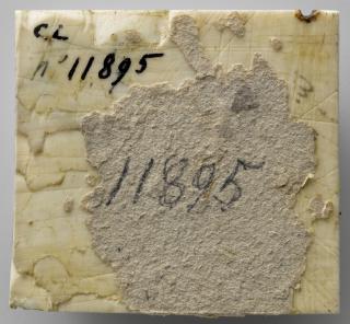 Panel, 1 register (possibly fragment of a casket) (Back)