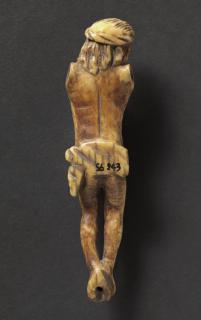 Corpus (Back)