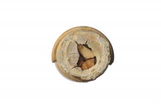 Shrine (?) (fragment) (Bottom)