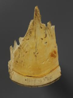 Fragment of a mirror case, frame of 4 lobes or quatrefoil (valve de miroir; quatre-feuilles) (Back)