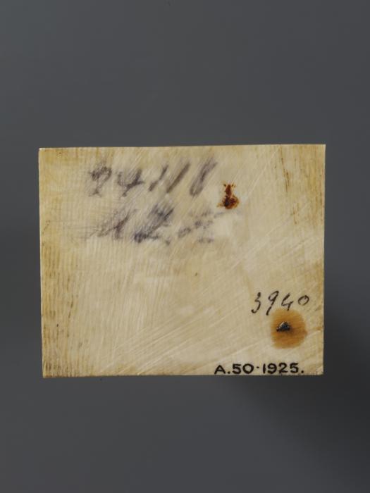 Panel (fragment of a casket) (Back)