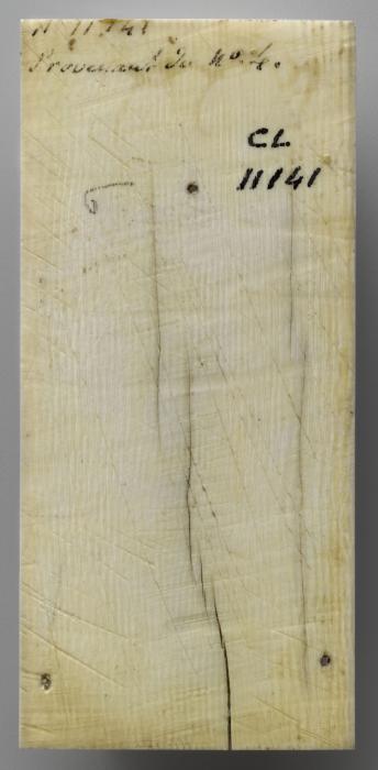 Panel (probably fragment of a box), 1 register, 1 ogee arch across (plaquette) (Back)