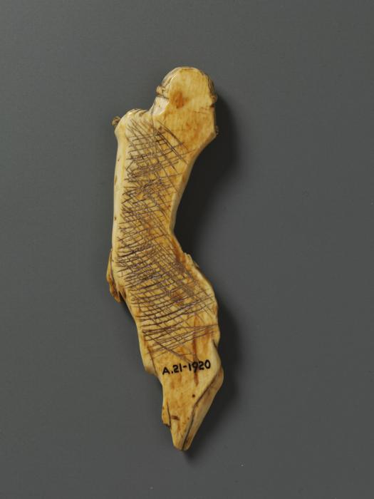 Corpus (Back)