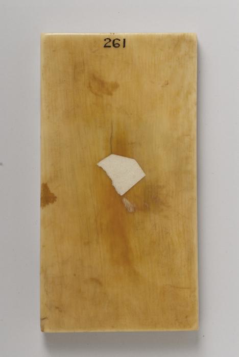 Wing, left (fragment of a diptych), 1 register, 1 arch across (plaquette) (Back)