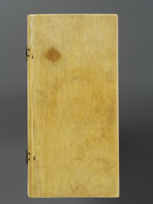 Diptych, 2 registers, 2 arches across (frise d'arcatures; colonnettes) (Wing, left, back)