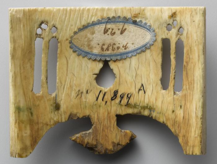 Canopy (fragment) (Back)