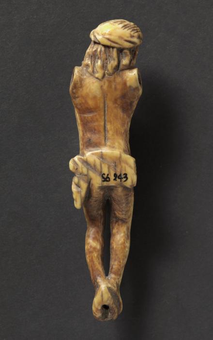 Corpus (Back)