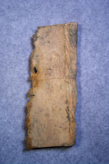 Relief (appliqué; fragment) (Back)