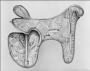 Saddle (selle); so-called 'Tratzberg Saddle' (Right side)