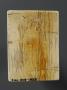 Panel (possibly fragment of a casket), 1 register (coffret) (Back)