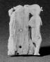Relief (appliqué) (Back)