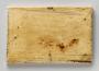 Panel (fragment from a casket) (Back)