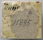 Panel, 1 register (possibly fragment of a casket) (Back)