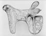 Saddle (selle); so-called 'Tratzberg Saddle' (Left side)