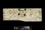 Front panel (fragment of a casket), 1 register, 6 arches across (coffret; frise d'arcatures) (Front)