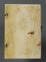 Diptych, 1 register, 1 arch across (frise d'arcatures) (Wing, left, back)