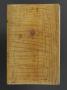Diptych, 2 registers, 7 arches across (frise d'arcatures) (Back, wing, left)