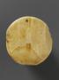 Medallion (Back)